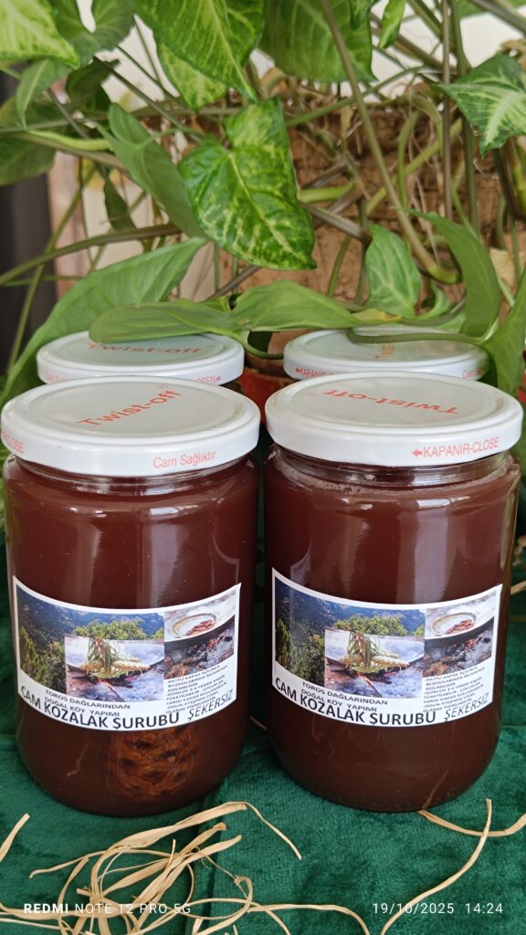 Çam Kozalak Şurubu 4 Kavanoz