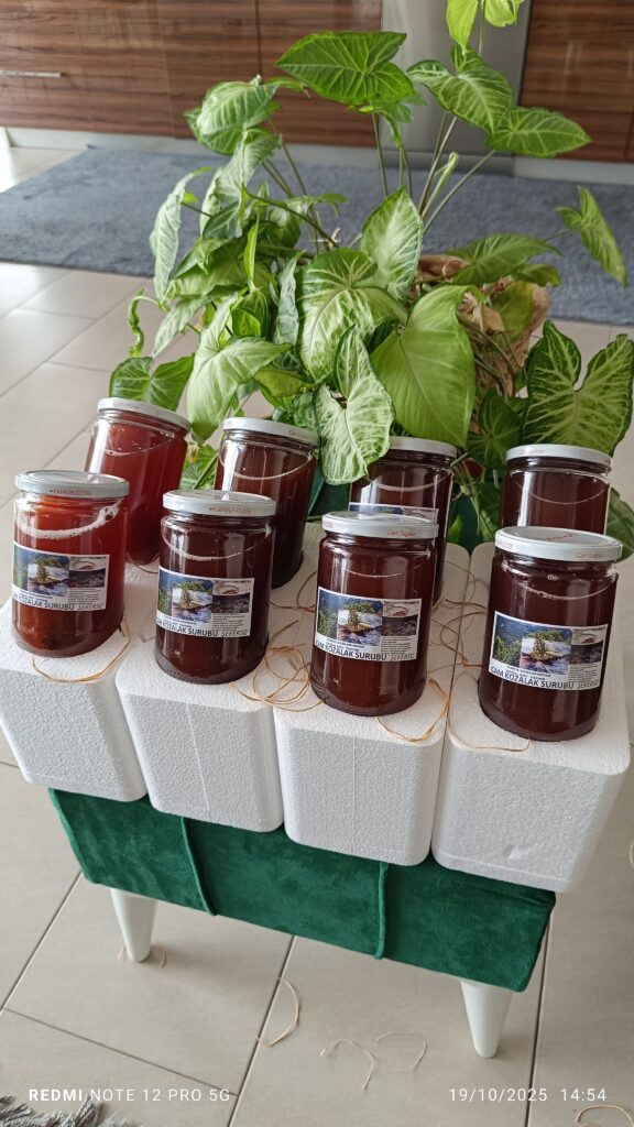 Çam Kozalak Şurubu 8 Kavanoz