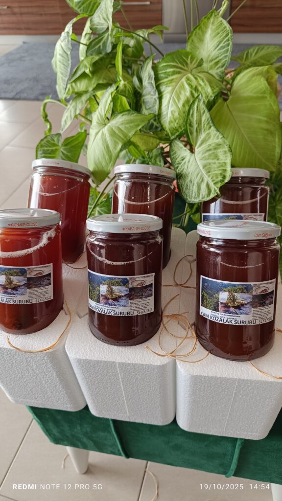 Çam Kozalak Şurubu 6 Kavanoz