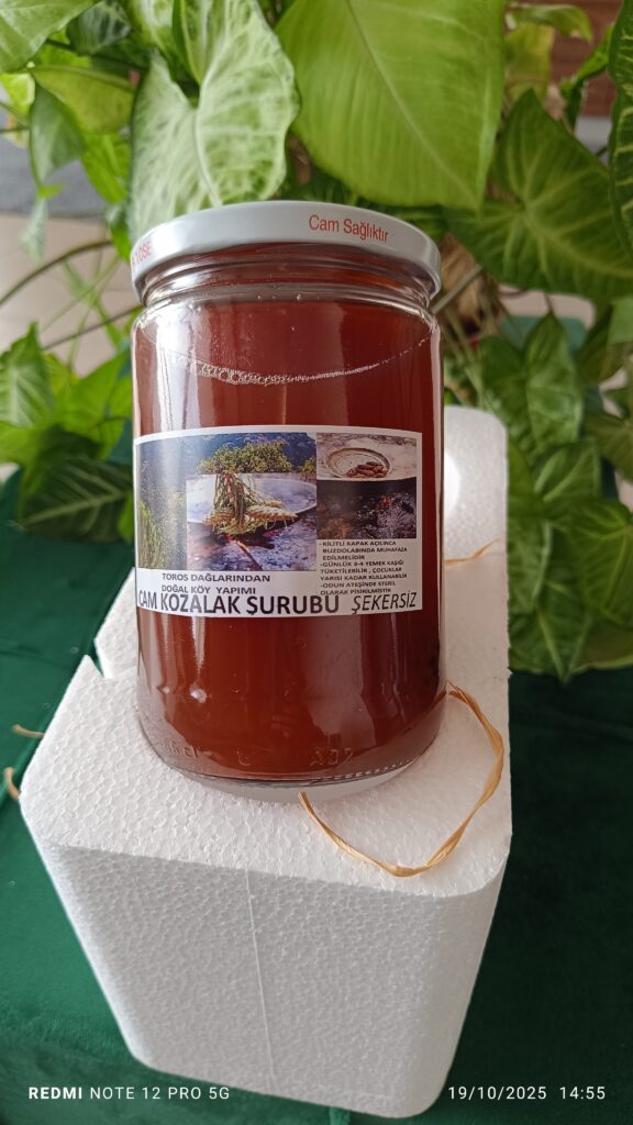 Çam Kozalak Şurubu 1 Kavanoz